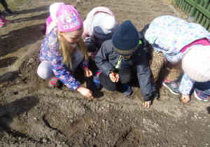 Dzieci sadzą cebulki.